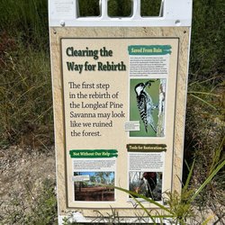 Village Creek State Park