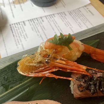 Sushi Ran - Amaebi - Sushi Bars Near Me - Sausalito, California Sushi Ran - Amaebi - Sushi Bars Near Me - Sausalito, California