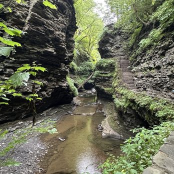 Watkins Glen State Park - Parks Near Me - Watkins Glen, New York Watkins Glen State Park - Parks Near Me - Watkins Glen, New York