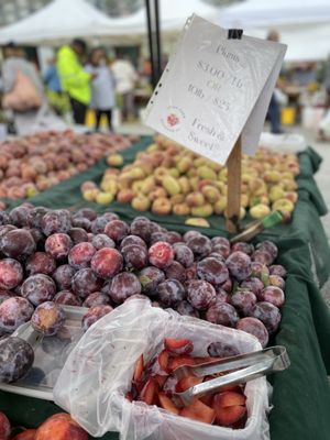 Alemany Farmer's Market by null