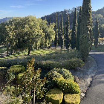 Alhambra Valley Retreat - My View from the balcony of the Master Suite! - Rehabilitation Center Near Me - Martinez, California Alhambra Valley Retreat - My View from the balcony of the Master Suite! - Rehabilitation Center Near Me - Martinez, California
