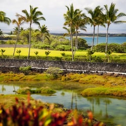 Beth Thoma Robinson - Oceanfront lots for sale Naupaka Place