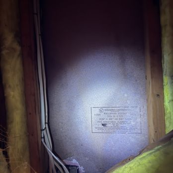 Ready Set Restoration - growth  visible from the attic - Environmental Testing Near Me - Katy, Texas