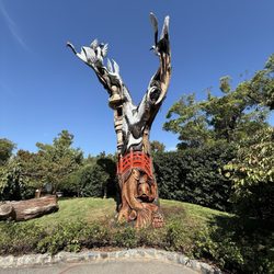 Jardín Japonés - Carved Eucalyptus