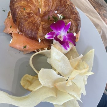 Bulegreen Cafe Yard - Smoked Salmon Sandwich - Cafes Near Me - Oakland Park, Florida Bulegreen Cafe Yard - Smoked Salmon Sandwich - Cafes Near Me - Oakland Park, Florida