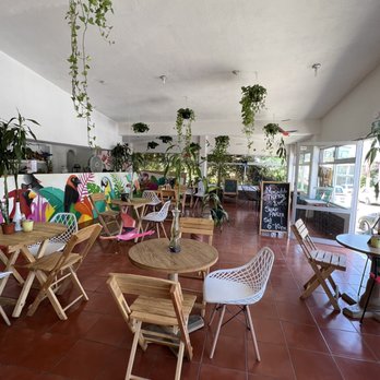 Tropical Kitchen - Dining room - Vegetarian Near Me - Cabo San Lucas, BCS Tropical Kitchen - Dining room - Vegetarian Near Me - Cabo San Lucas, BCS