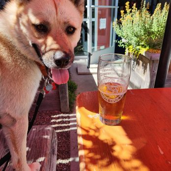 Discretion Brewing - Rocket gives it a High paw review! - Breweries Near Me - Soquel, California Discretion Brewing - Rocket gives it a High paw review! - Breweries Near Me - Soquel, California