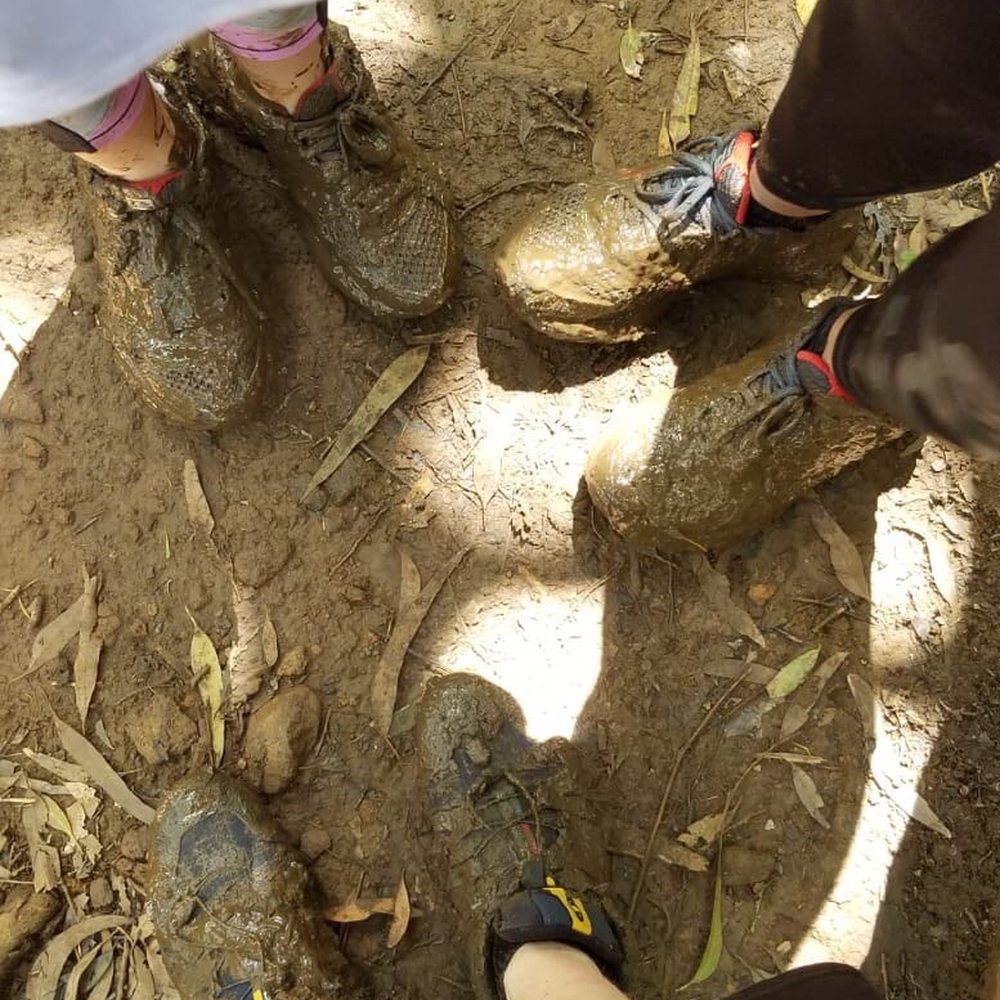 Lulumahu Falls - Muddy aftermath. - Hiking Near Me - Honolulu, Hawaii Lulumahu Falls - Muddy aftermath. - Hiking Near Me - Honolulu, Hawaii