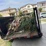 Fuentes Landscape Management