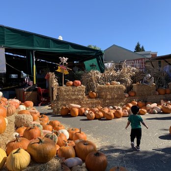 Windmill Farms - Grocery Near Me - San Ramon, California