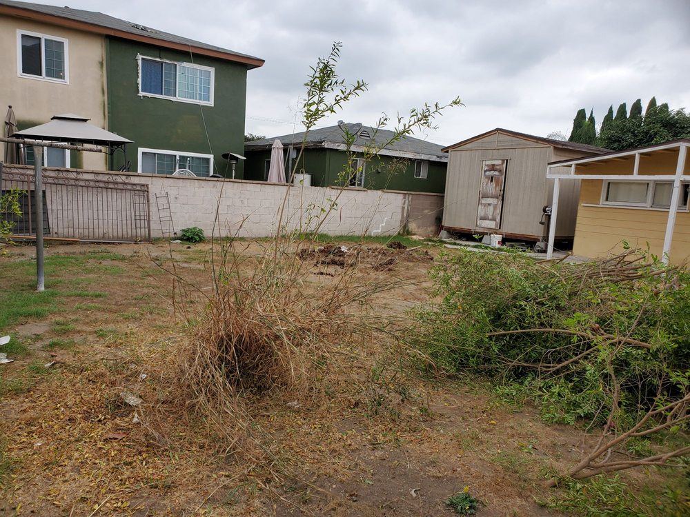 Alvarez Tree Care - tree service in Los Angeles, CA