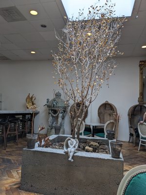 The Buttonwood by null