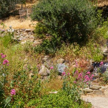 Elliston Vineyards - Creek - Wineries Near Me - Sunol, California