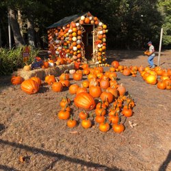 Dwulet's Farm & Garden - Pumpkin House