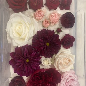 Moments in Bloom - Wedding Planning Near Me - Carlsbad, California