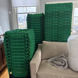 Box Save