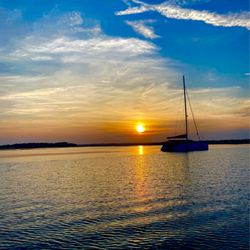 Salty Dog Cruise