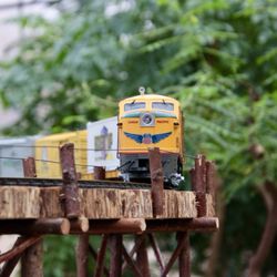 Nicholas Conservatory and Gardens - Elevated trestle