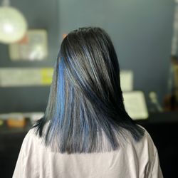 New Style Hair Salon - Color by Louis