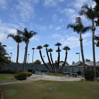 Armando’s Tree Care - Ese fue un trabajo que así queria el dueño de la casa que quedara - Tree Services Near Me Armando’s Tree Care - Ese fue un trabajo que así queria el dueño de la casa que quedara - Tree Services Near Me