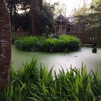 Cafe Mokka - Again with the pond - Coffee & Tea Near Me - Arcata, California