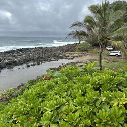 Keokea Beach Park