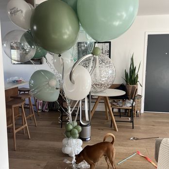 Balloon Celebrations - Birthday balloons! - Balloon Services Near Me - Santa Monica, California Balloon Celebrations - Birthday balloons! - Balloon Services Near Me - Santa Monica, California