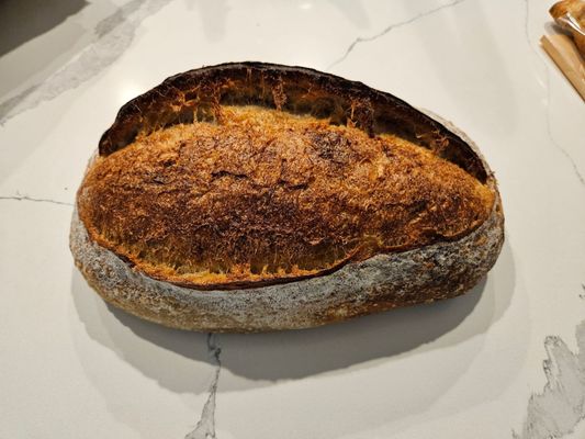 Oak Cliff Bread by null