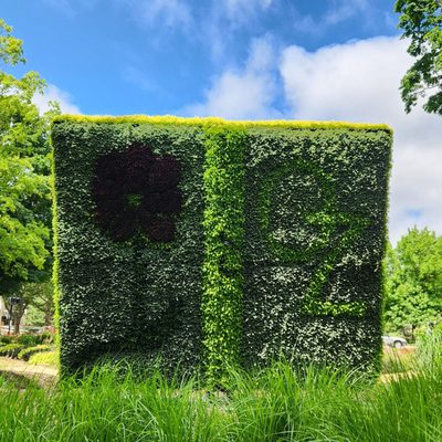 Centennial Park by null
