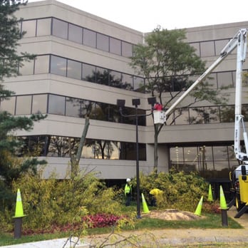 Sunset Tree Service - Commercial work is a speciality. This building in Deerfield needed more visibility. We can help! - Tree Services Near Me - Crystal Lake, Illinois