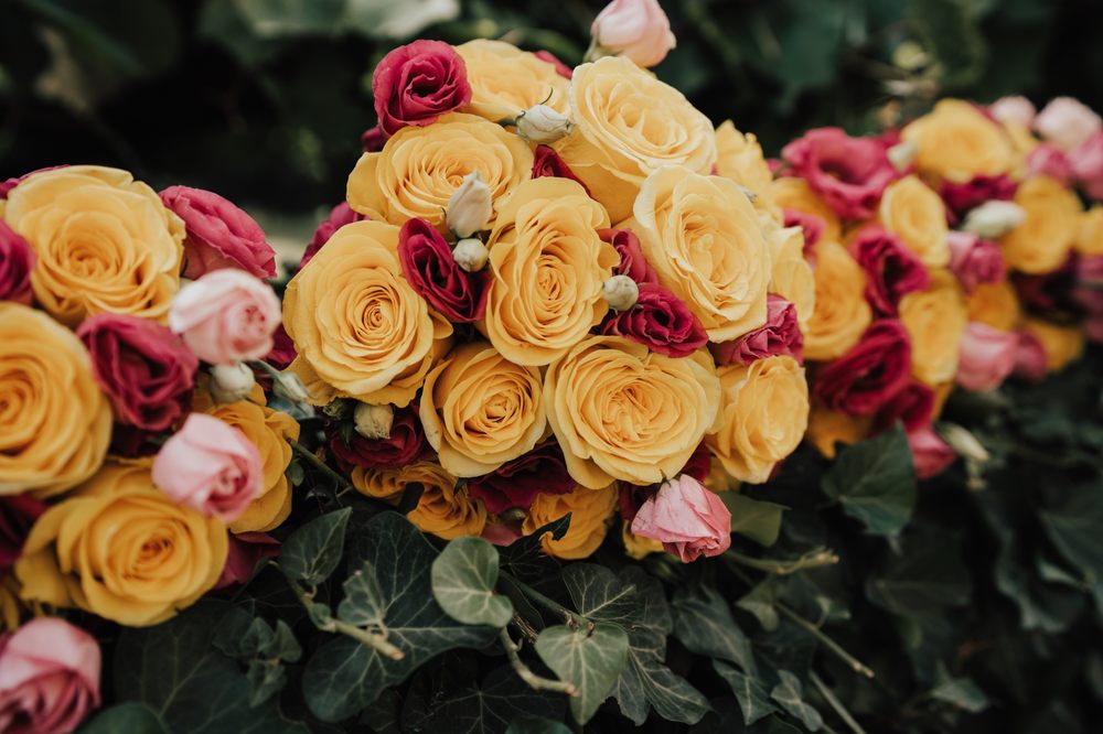 IKEBANA FIORI Via Roma, Pohjanmaa, Sarteano, Siena, Italy Phone