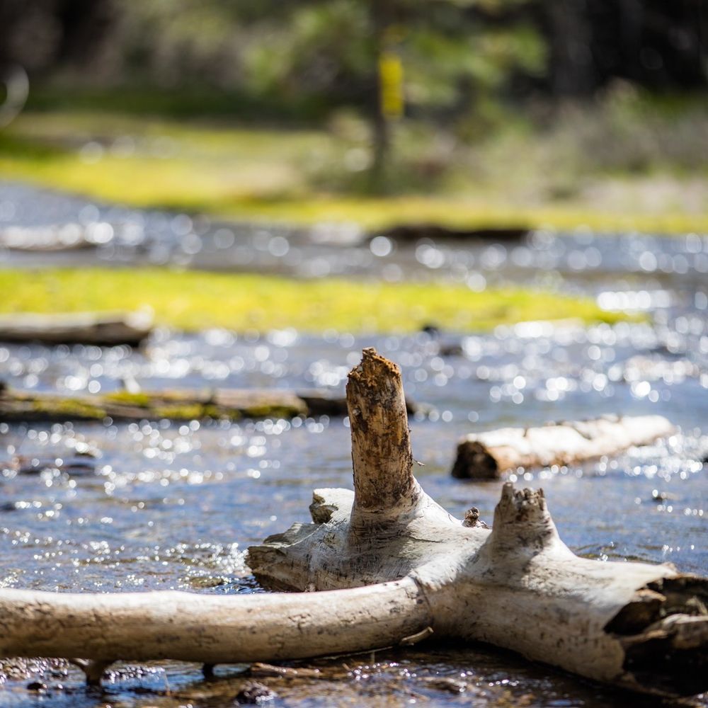 Manzanita Lake loop - Creek - Hiking Near Me
