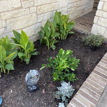 Moon Valley Nurseries - Nurseries & Gardening Near Me - Buda, Texas