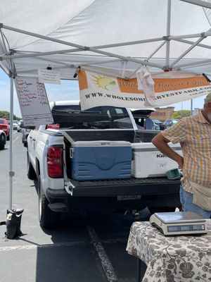 Photo of Alamo Heights Farmers Market - San Antonio, TX, US. a man standing under a tent