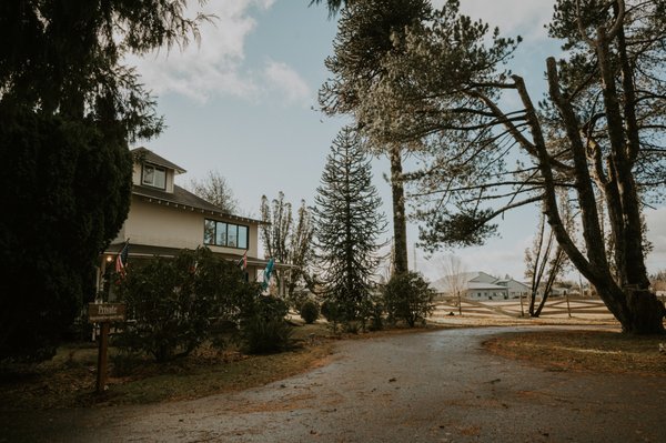 Miller Tree Inn by null