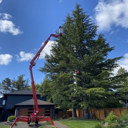 Samsara has all the cool toys to get access to your trees! Samsara has all the cool toys to get access to your trees!