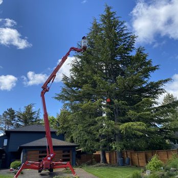 Samsara Tree Care - Samsara has all the cool toys to get access to your trees! - Tree Services Near Me - Portland, Oregon Samsara Tree Care - Samsara has all the cool toys to get access to your trees! - Tree Services Near Me - Portland, Oregon