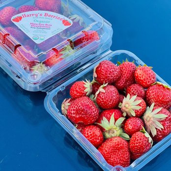 HEYDEN - Harry's Berries Mara Des Bois strawberries. - Fruits & Veggies Near Me - Arcadia, California