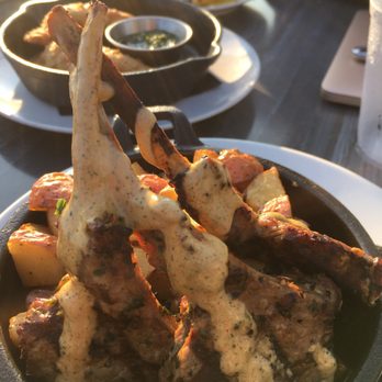 Don Tito - Lamb chops were tender and delicious drizzle of sauce. - Mexican Near Me - Arlington, Virginia Don Tito - Lamb chops were tender and delicious drizzle of sauce. - Mexican Near Me - Arlington, Virginia