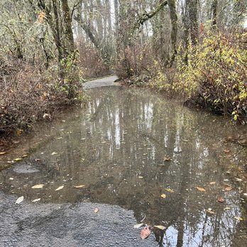 Noble Woods Park - Noble Woods Park - Parks Near Me - Hillsboro, Oregon Noble Woods Park - Noble Woods Park - Parks Near Me - Hillsboro, Oregon