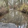 Noble Woods Park