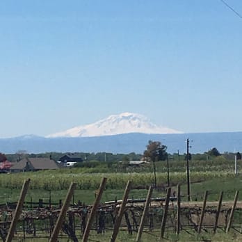 Bonair Winery - Beautiful view of the mountain. - Wineries Near Me - Zillah, Washington Bonair Winery - Beautiful view of the mountain. - Wineries Near Me - Zillah, Washington