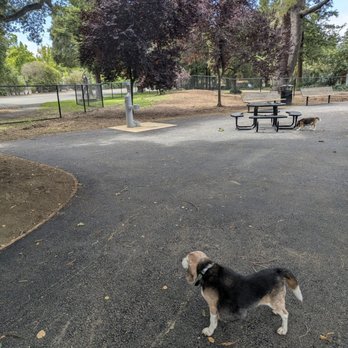 McKenzie Dog Park - New blacktop - Dog Parks Near Me - Los Altos, California