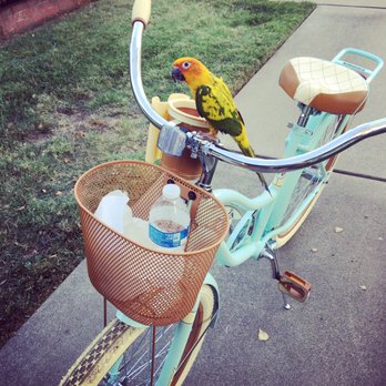 Velo Trap - (: Even my little guy likes to go on rides. Thanks for putting the bike together Velo Trap! - Bike Repair/Maintenance Near Me - Sacramento, California Velo Trap - (: Even my little guy likes to go on rides. Thanks for putting the bike together Velo Trap! - Bike Repair/Maintenance Near Me - Sacramento, California