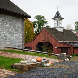Foxglove Farm
