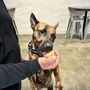 Photo of Smootheezy