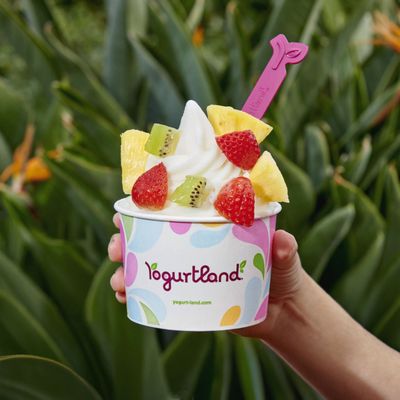 Yogurtland Dallas by null
