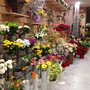 Photo of Flor de Taronger