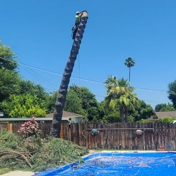 J Ram Tree Service - Tree Services Near Me J Ram Tree Service - Tree Services Near Me