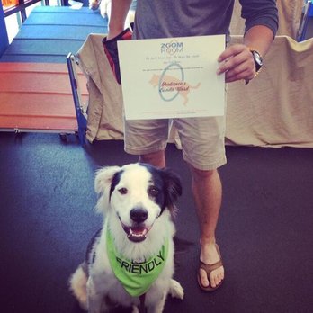 Zoom Room Dog Training - Pet Training Near Me - Virginia Beach, Virginia